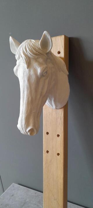 Paardenhoofd , wit